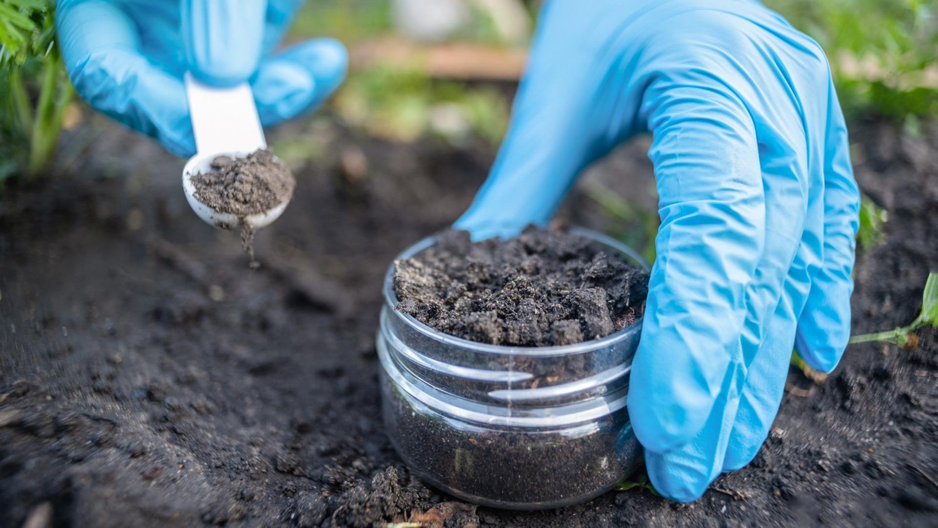 environmental soil microbiome DNA extraction with complex matrix and inhibitors environmental soil microbiome DNA extraction with complex matrix and inhibitors