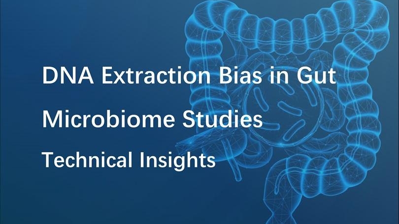 Conceptual illustration of the gut microbiome highlighting microbial communities within the intestinal environment, relevant to DNA extraction bias and microbiome data reliability. Conceptual illustration of the gut microbiome highlighting microbial communities within the intestinal environment, relevant to DNA extraction bias and microbiome data reliability.