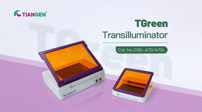 TGreen Transilluminator