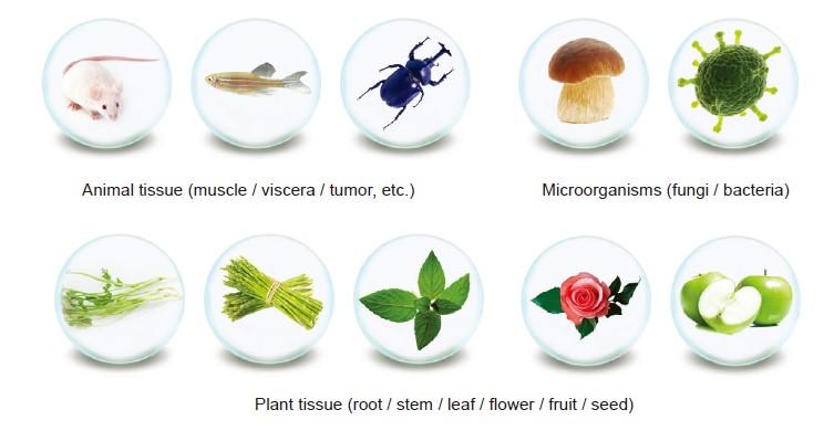Tissue types for grinding: animal, plant and microbial samples