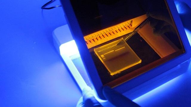 gel electrophoresis imaging system for DNA RNA and protein analysis