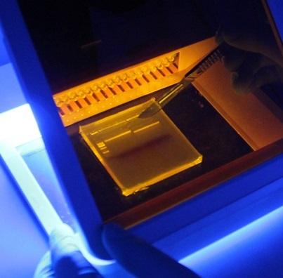 electrophoresis systems for DNA RNA and protein analysis