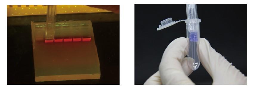Gel Cutter 