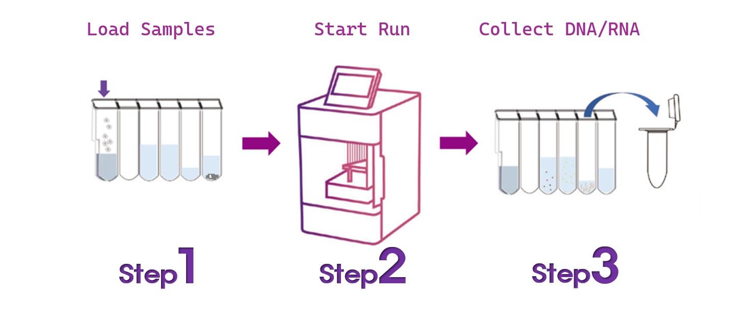 TGuide S16 automated nucleic acid extraction workflow showing sample loading, automated extraction and purified DNA/RNA collection