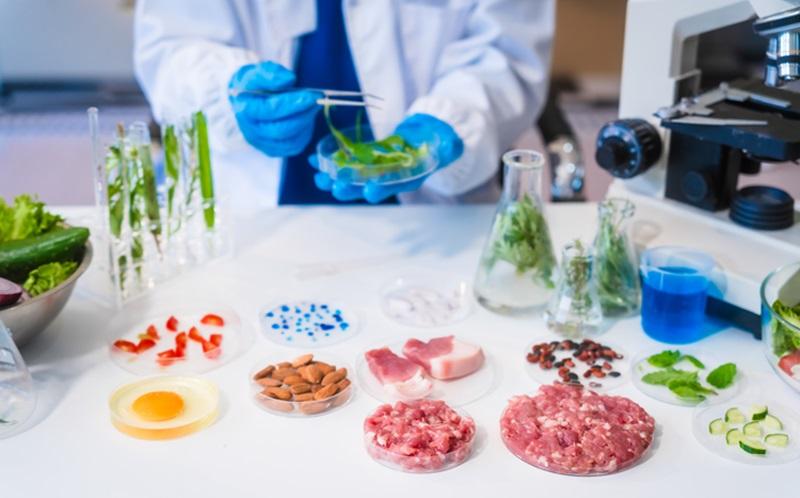 GDP680 automated food DNA extraction for processed food, dairy, foodborne pathogen testing and GMO analysis